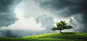 معلومات عن قصة سيدنا آدم