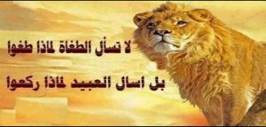 أجمل الحكم والعبارات