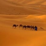 أين تقع أكبر صحراء بالعالم
