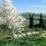 أين تقع حوران