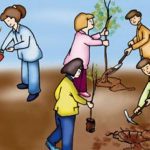 بحث حول المحافظة على البيئة