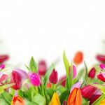 حكم رائعه وقصيره