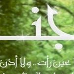 حكم عن الجنة