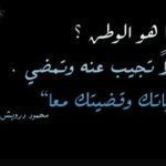 حكمة عن حب الوطن