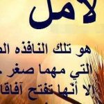 حكمة قصيرة عن الحياة