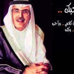 شعر بدر بن عبد المحسن