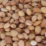 فوائد المحلب للشعر الخفيف