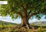 صورة واقعية لشجرة كبيرة تُظهر الجذور والجذع والأغصان بوضوح مع شعار قلعة الكويت أعلى اليسار