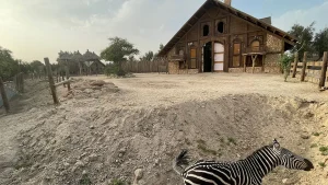 الغابة الصغيرة في الكويت