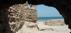 جزيرة الجسم
