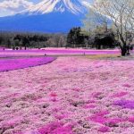 جزيرة هوكايدو